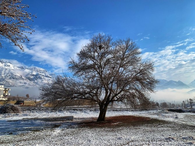 Tarihi Çınar Ağaçları Her Mevsim Ayrı Görsel Şölen Sunuyor