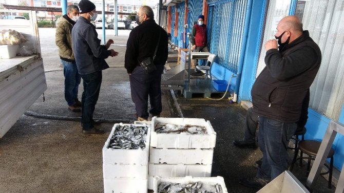 Balıkçılar Gelecek Yıl Karadeniz’de Hamsi Bolluğu Bekliyor