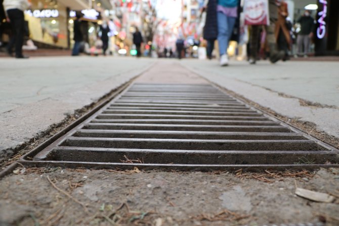 Fenomen Köpek Mazgal Nöbetine Ara Verince Esnaf Meraklandı