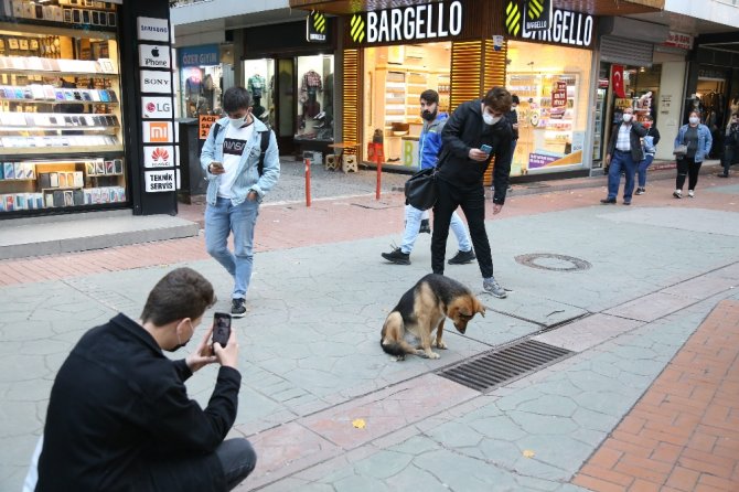 Fenomen Köpek Mazgal Nöbetine Ara Verince Esnaf Meraklandı