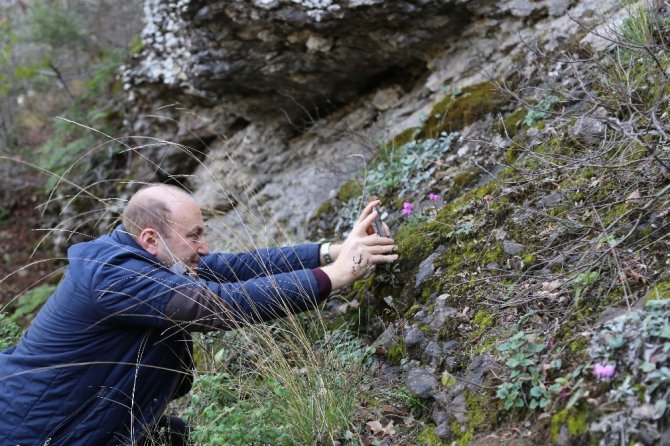 Artvin’de Baharın Habercisi Çiçekler Erken Açtı