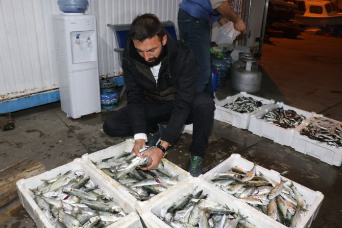 Zonguldak’ta Balıkçılar Limana 2 Bin Kasa Balıkla Döndü