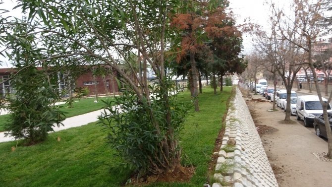 Trabzon Millet Bahçesi Son Şeklini Almaya Başladı