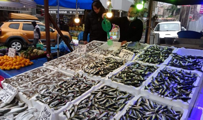 Balıkçılar İstavrit İle Teselli Buldu