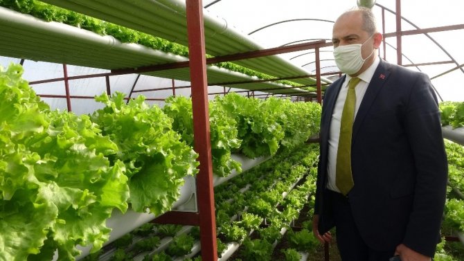 Pandemi Döneminde Köylere Yoğun Bir Şekilde Dönüşün Olması Tarıma Hareketlilik Getirdi