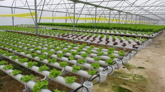 Pandemi Döneminde Köylere Yoğun Bir Şekilde Dönüşün Olması Tarıma Hareketlilik Getirdi