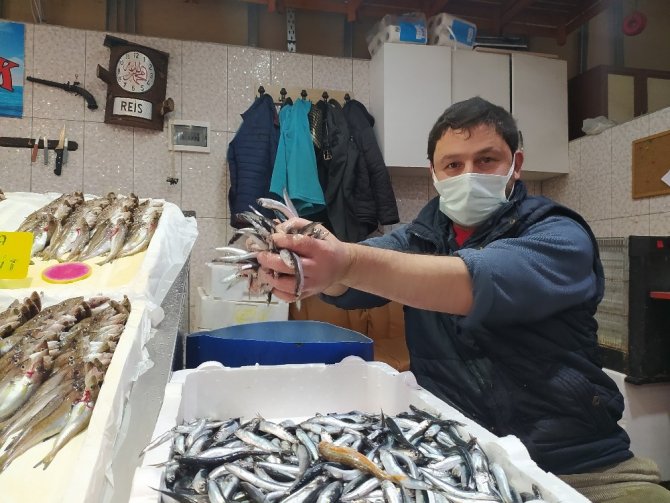 30 Gün Üzerine Avlanmaya Başlanan Ve Tezgahlara Gelen Hamsi, Balıkçıları Memnun Etmedi