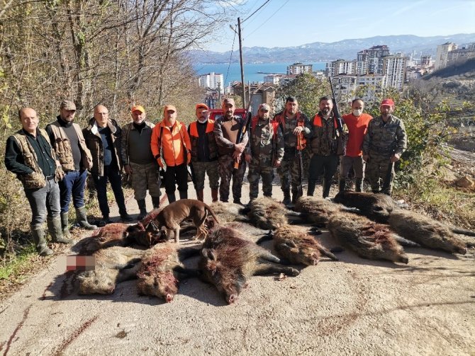 Prof. Dr. Şağdan Başkaya: “Artan Yaban Domuzları İçin Bilimsel Avlanma Planları Yapılmalı”