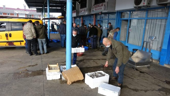 Hamsi Avı Yasağı Bitti Ama Balıkçılar Hamsinin Yolunu Gözlüyor