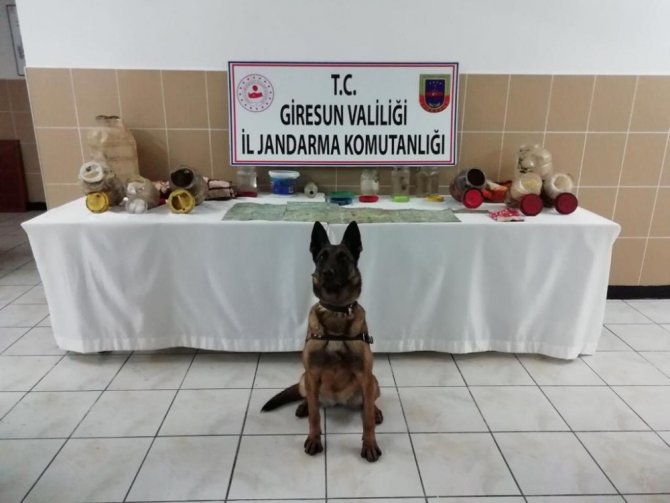 Giresun’da Pkk’lıların Kullandığı Erzak Deposu Bulundu