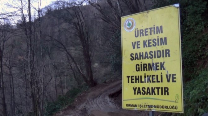 Köylü Ormanına Sahip Çıktı, Usulsüz Kesim Durduruldu