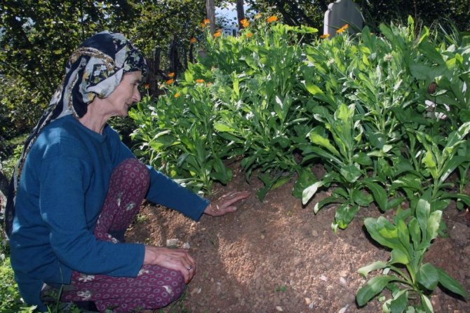 İkranur’un Babaannesi Nihal Tirsi Adaletin Yerini Bulmasını İstiyor