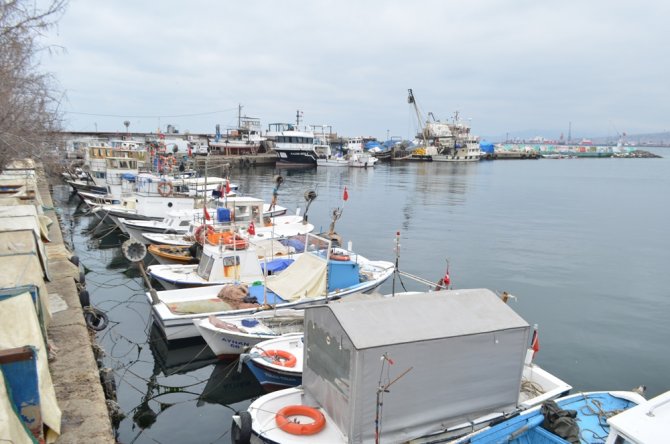 Marmara’da Balıkçıların Korkulu Rüyası 10 Yıl Sonra Geri Döndü