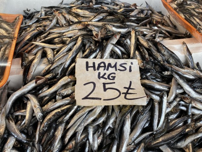 Karadeniz’de Çıkan Fırtına Balık Tezgahlarına Yansıdı