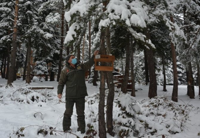 Artvin’de Zorlu Kış Şartlarında Kuşlar İçin Aş Evi Yapıldı