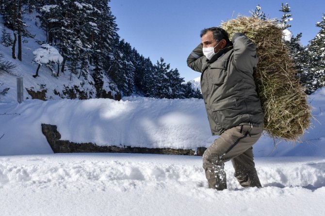 Gümüşhane’de Yaban Hayvanları Aç Bırakılmıyor