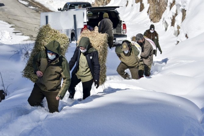 Gümüşhane’de Yaban Hayvanları Aç Bırakılmıyor
