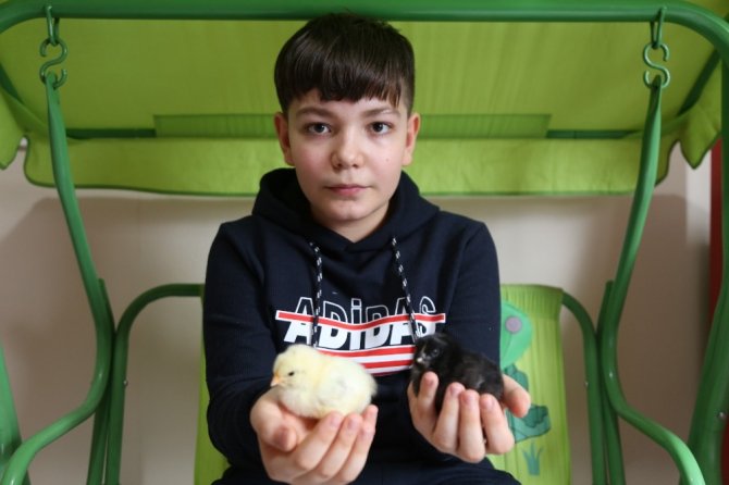 11 Yaşındaki Yusuf Kendi Yaptığı Kuluçkayla Civciv Üretiyor