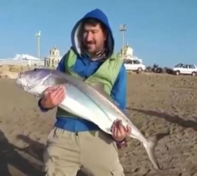 Oltası Kopmasın Diye 7 Kiloluk Balığı Sürüyerek Getirdi