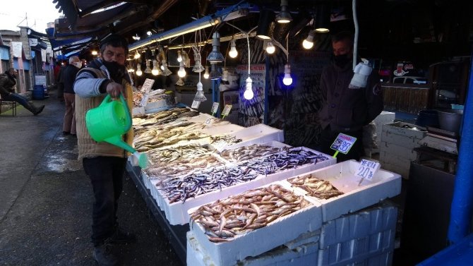 Yerli Hamsi Bu Yıl İlk Kez Tezgâhlarda Yerini Aldı Ama Fiyatı Cep Yakıyor