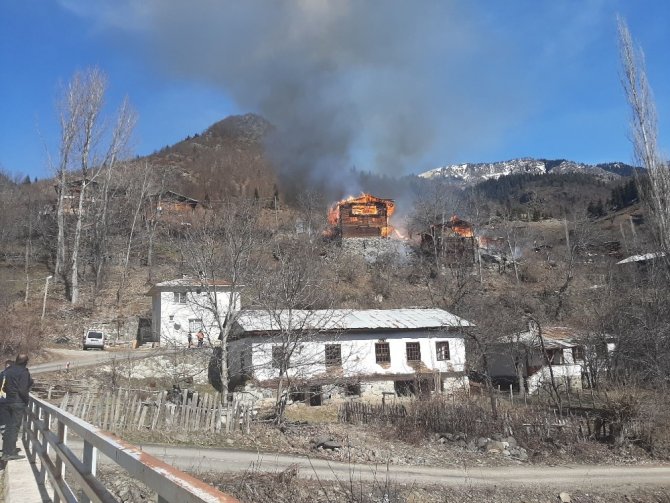 Artvin’de Korkutan Yangın
