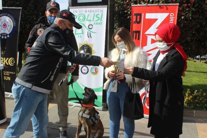 Giresun’da Dünya Kadınlar Günü Dolayısıyla Kadınlara Karanfil Dağıtıldı