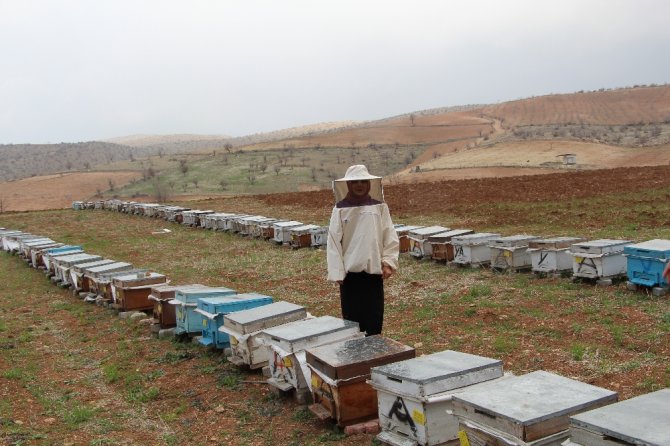 Devlet Desteği İle 40 Kovanla Başladı, Şimdi 300 Kovanı Var