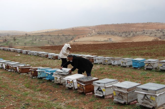 Devlet Desteği İle 40 Kovanla Başladı, Şimdi 300 Kovanı Var
