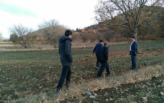Organik Siyez Buğdayına Talep Artınca, Üretim Alanı Genişletilmeye Başlandı