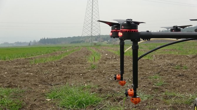 Üniversitenin Buğdayları Drone İle İlaçlandı