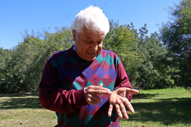 Ünlü Profesöre Su Altında Elektrikli Vatoz Balığı Şoku