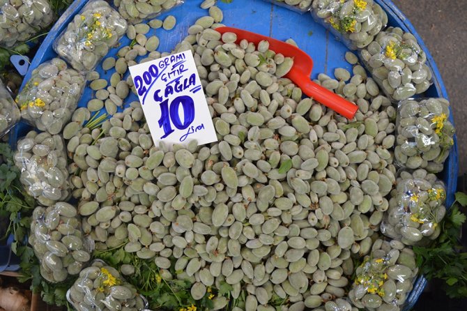 Çağla Sezonu 50 Tl’den Açtı