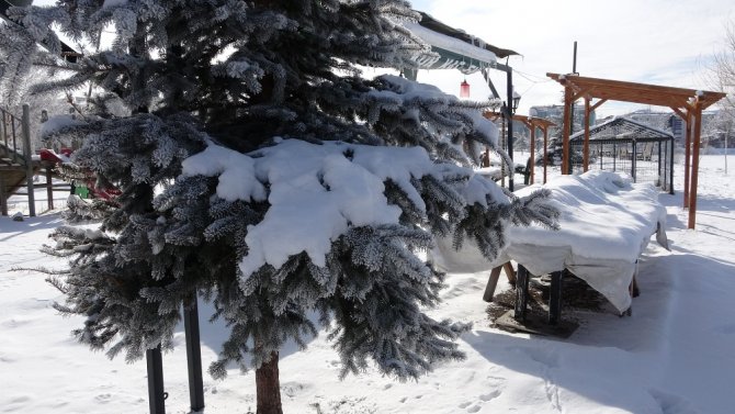 Mart Ayında Dondurucu Soğuklar: Göle Eksi 28