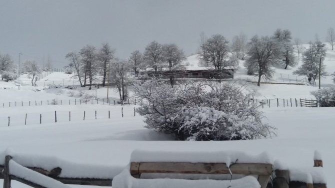 Artvin’de Büyüleyen Kış Manzaraları