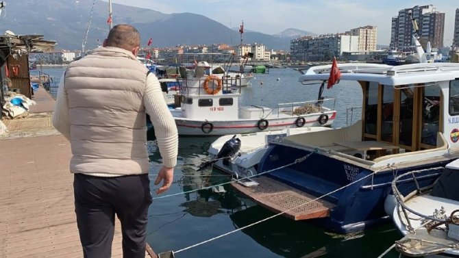 Gemlik Körfezi’ndeki Kirliliğin Sebebi Belirlendi