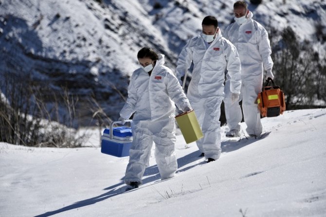 Gümüşhane’nin Zorlu Coğrafyasında Covid-19 Aşısı Seferberliği