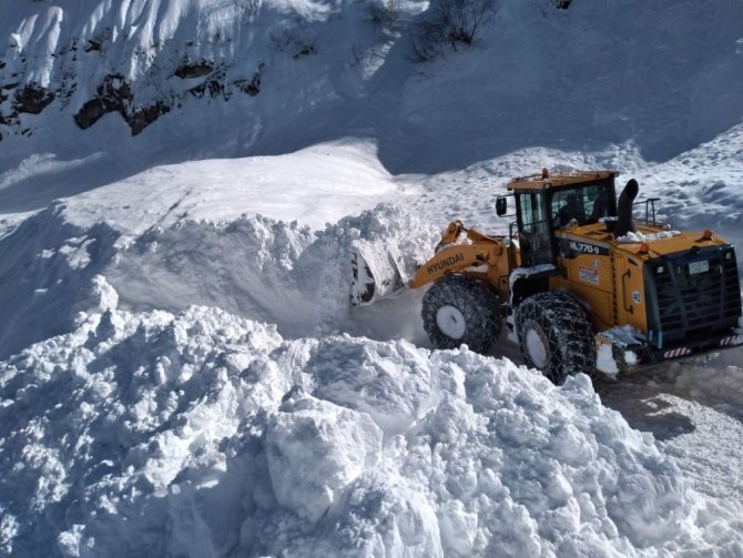 Yoğun Kar Yağışı Nedeniyle Ulaşıma Kapanan Macahel Yolunu Açmak İçin Çalışma Başlatıldı