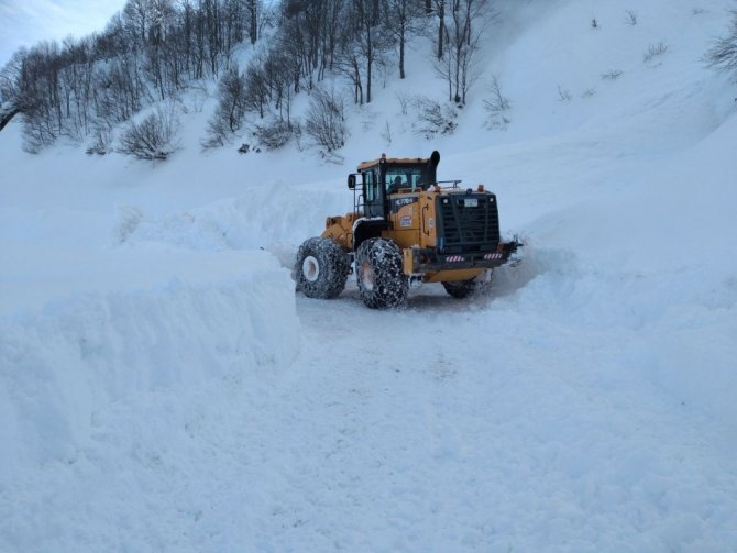 Yoğun Kar Yağışı Nedeniyle Ulaşıma Kapanan Macahel Yolunu Açmak İçin Çalışma Başlatıldı