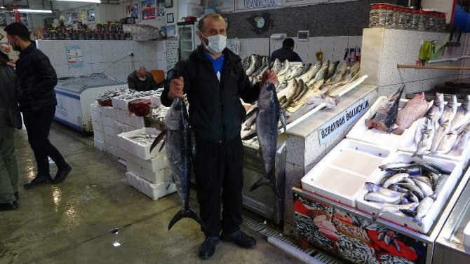 Karadeniz’de Yeterli Av Olmayınca Trabzon Balık Halinde İzmir Ve İstanbul’dan Gelen Balıklar Satışa Sunuldu