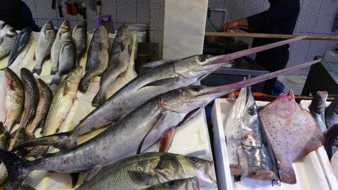 Karadeniz’de Yeterli Av Olmayınca Trabzon Balık Halinde İzmir Ve İstanbul’dan Gelen Balıklar Satışa Sunuldu