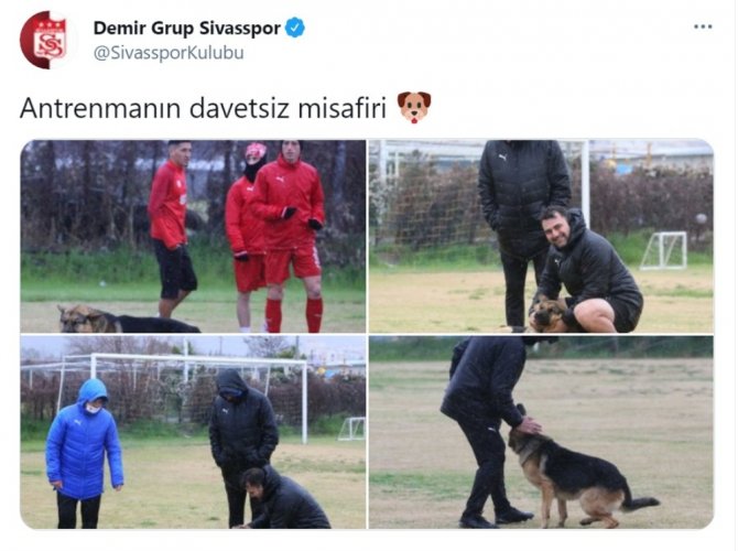 Sivasspor İdmanına Davetsiz Misafir