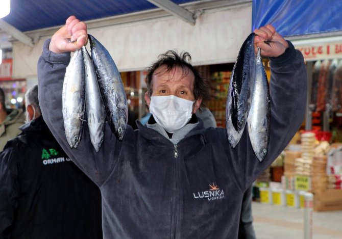 Hamsi Yerini Mezgide Bıraktı