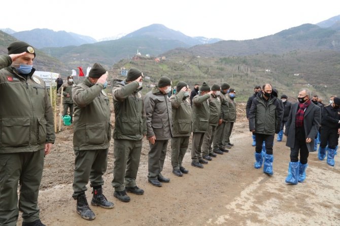 Artvin’de Fidanlar Toprakla Buluştu