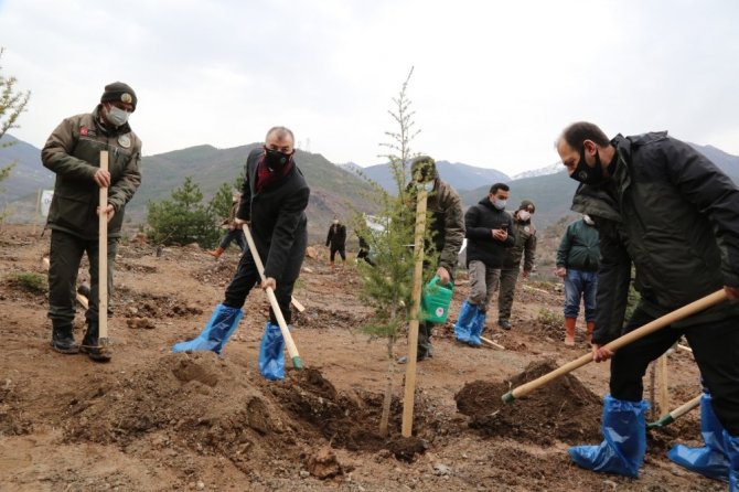 Artvin’de Fidanlar Toprakla Buluştu