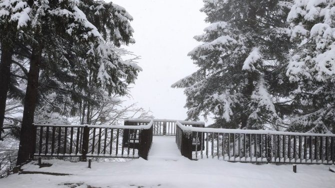 Artvin’in Ünlü Kafkasör Yaylası Yağan Karla Beyaza Büründü