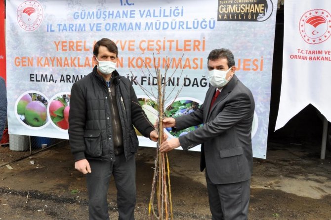 Gümüşhane’de Üreticilere 4 Bin Adet Yerli Meyve Fidanı Dağıtıldı