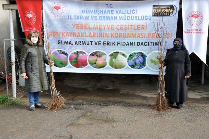 Gümüşhane’de Üreticilere 4 Bin Adet Yerli Meyve Fidanı Dağıtıldı