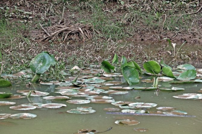 Antalya’nın Doğal Fotoğraf Stüdyosu: Kurşunlu Şelalesi