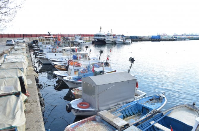 Marmara Büyük Baskı Altında: Salya Tehlikesi 2 Aydır Geçit Vermiyor