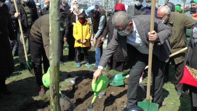 Üsküdar’da Kız Kulesinde Katledilen Ağaçların Yerine Yenileri Dikildi